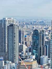 Umeda Sky Building 