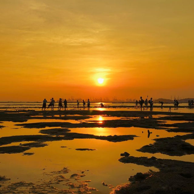 🌅流浮山下白泥：泥灘夕陽，日落打卡景點🌅
