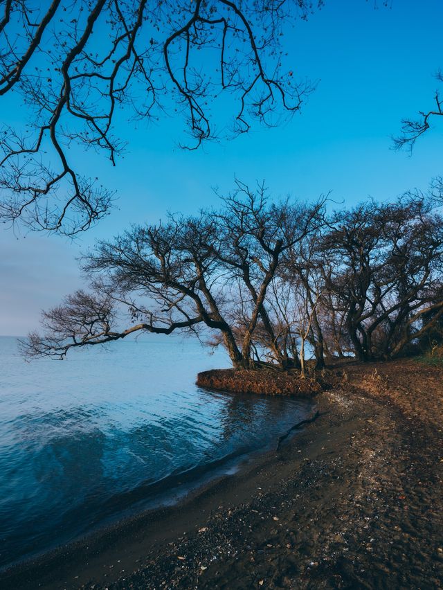 幻の道（滋賀県長浜市）