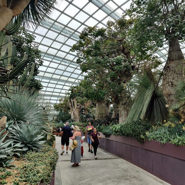 Flower Dome @Singapore