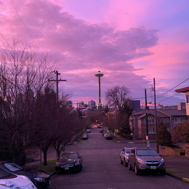 Cotton Candy Space Needle 