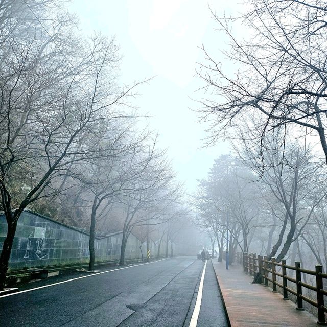안개가 자욱한 날의 옥마산⛰️