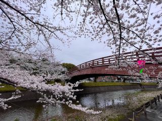 Horioseki Park 
