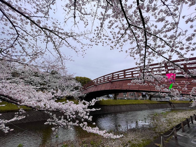 Horioseki Park 