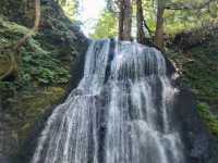 Otakiyama Natural Park