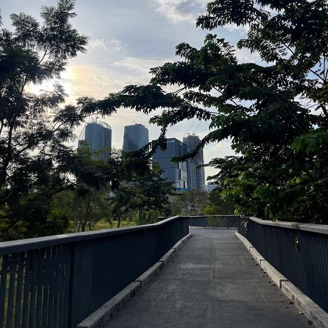 สวนป่าเบญจกิติ