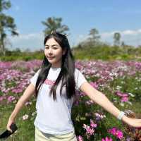 ชมทุ่งดอกไม้@ทับลาน💐