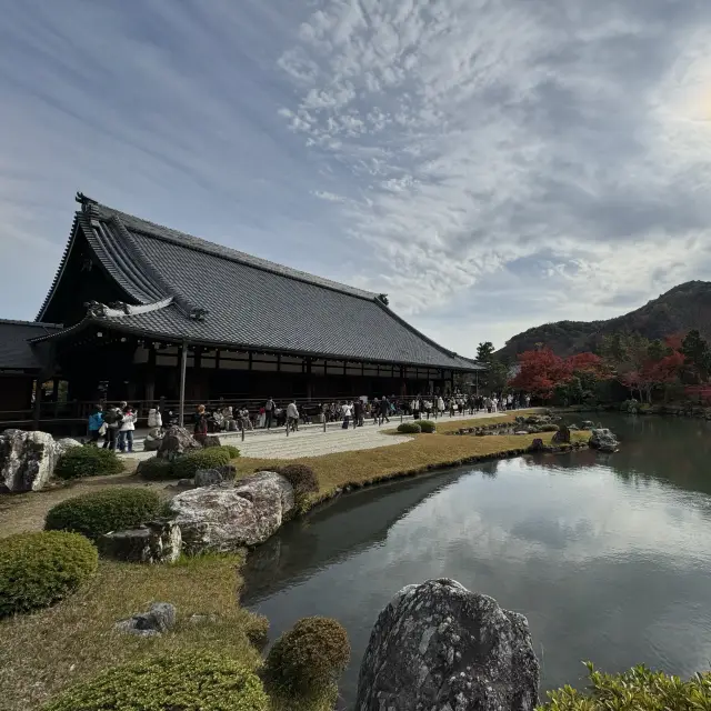 天龍寺：自然に囲まれた伝統的な魅力。