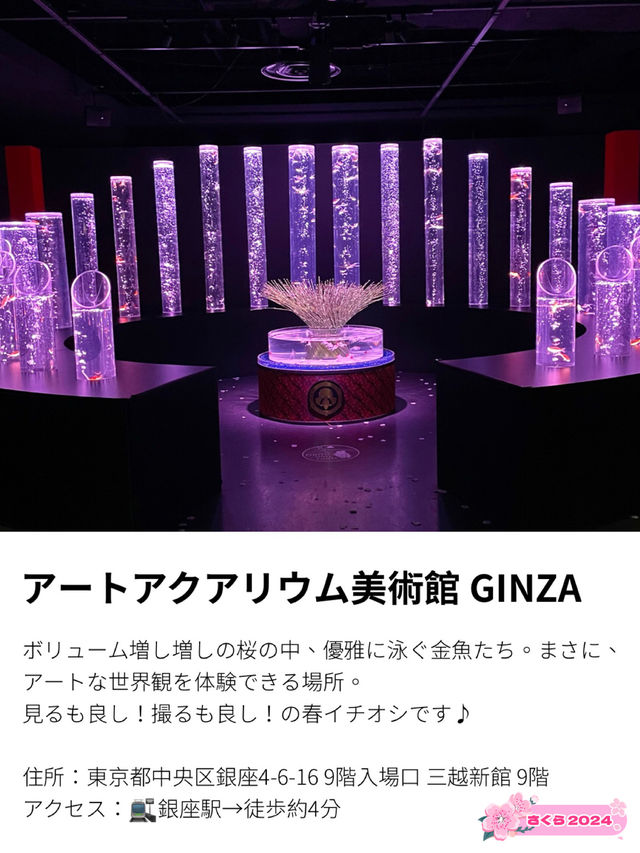 【アートアクアリウム美術館 GINZA /東京都】春を先取り！幻想的空間の桜と金魚