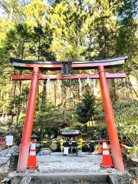 【日光二荒山神社・神苑/栃木県】縁結びスポット満載