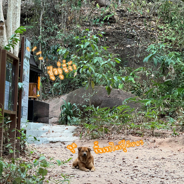 ขึ้นถ้ำนาคาในวัยขึ้นเลขสาม~