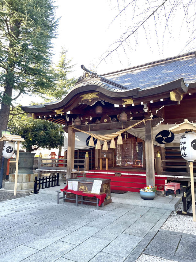 【草加神社/埼玉県】本殿の絵様彫刻が素晴らしい