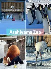 10 must-do activities in Sapporo