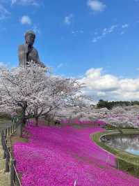  UshikuDaibutsu หลวงพ่อโตปางยืนสูงที่สุดในญี่ปุ่น