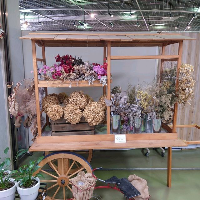 名古屋市の桜名所「荒子川公園」