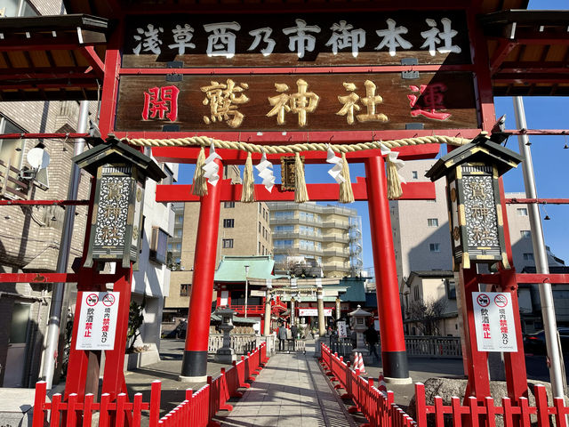【東京・台東区】酉の市発祥の神社⛩️