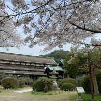 5年ぶりのこんぴら歌舞伎！
