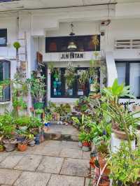 The Intan