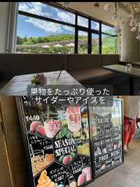 【茨城】森の中にキラキラと輝くシャガの群生 お花の楽園