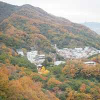 Kobe Nunobiki Herb Gardens&Ropeway