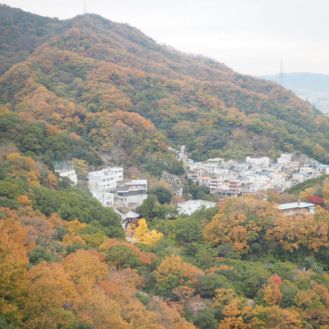 Kobe Nunobiki Herb Gardens&Ropeway