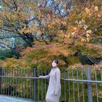 Kobe Nunobiki Herb Gardens&Ropeway