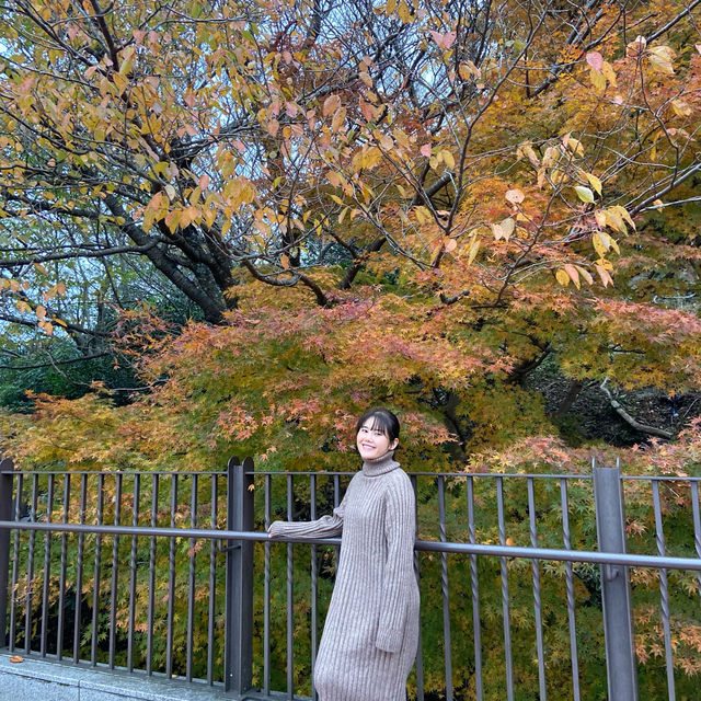 Kobe Nunobiki Herb Gardens&Ropeway