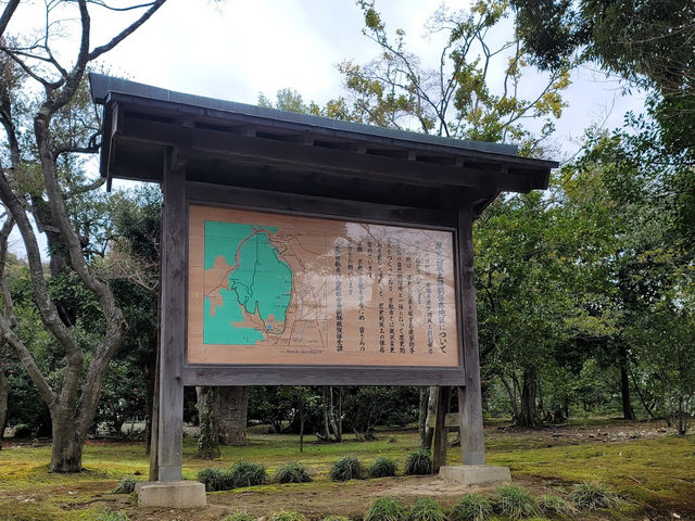 The golden pavilion 