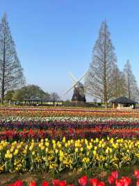 Akebonoyama Park 