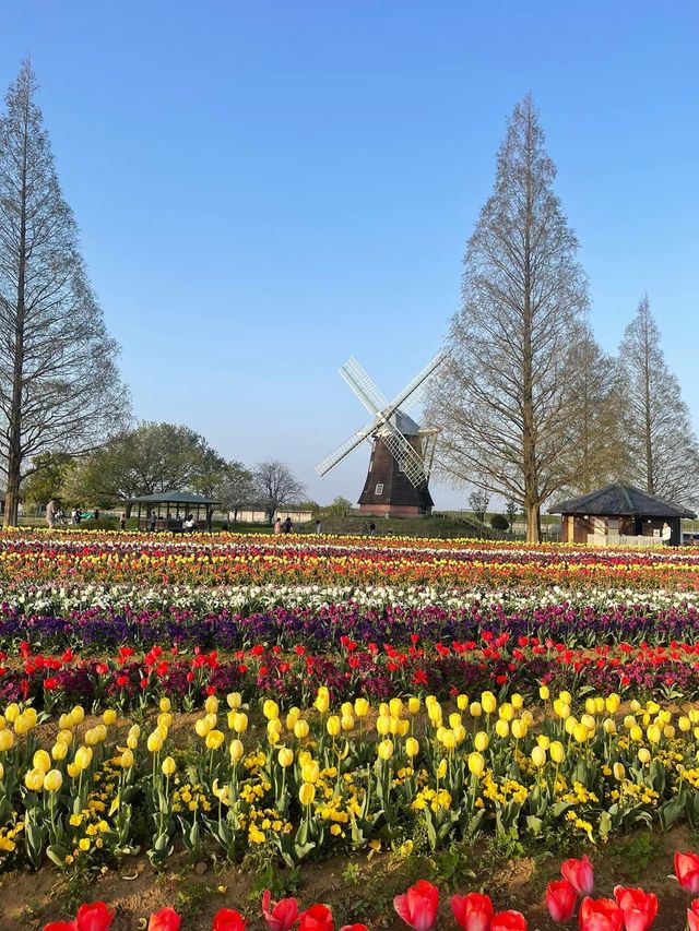 Akebonoyama Park 