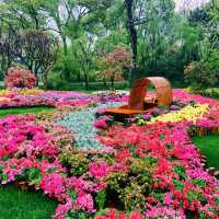 臺北花博公園：花海盡收眼底