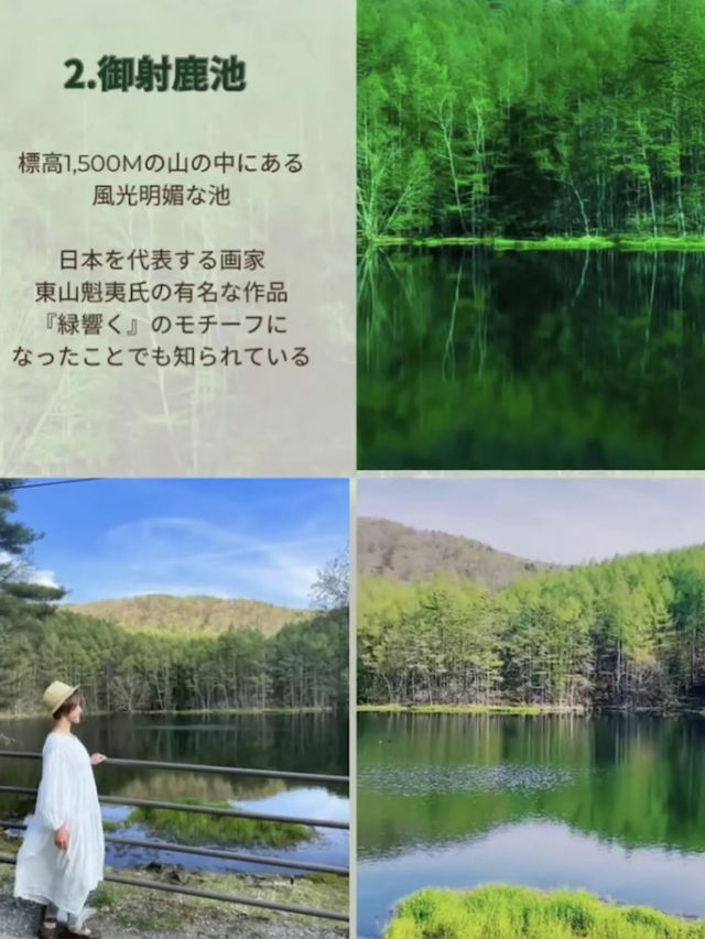 長野に行ったらしたいこと🌲🏯⛩おすすめ7選🤗