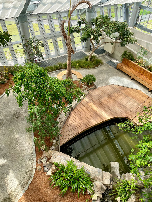 兵庫　リニューアルオープンしたての公園🌿