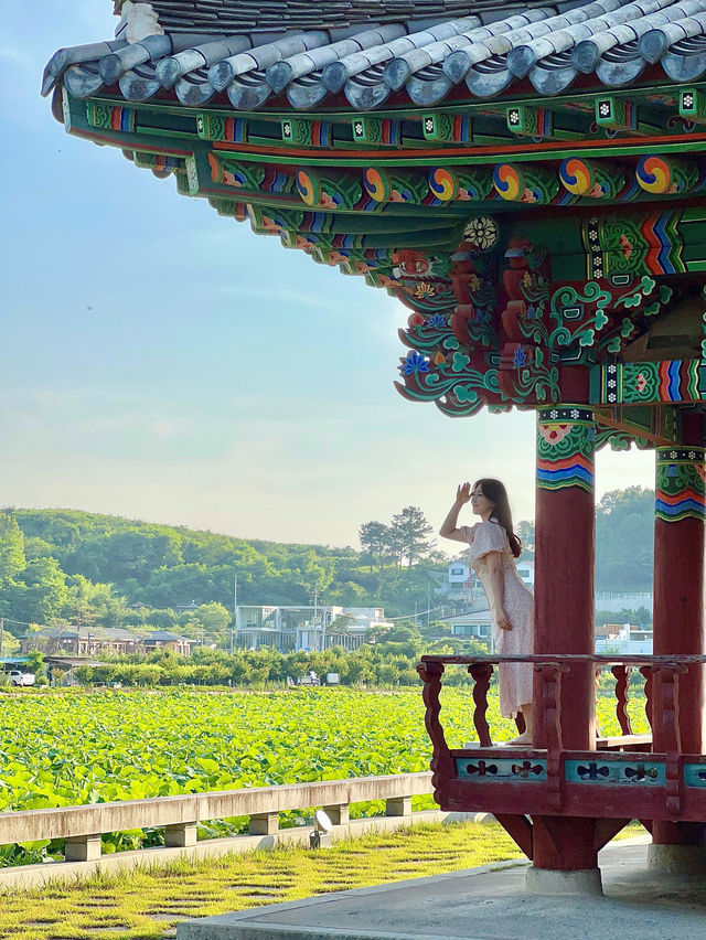 푸르름에 힐링할 수 있는 청도 여행💫