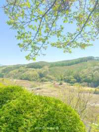 【長野/佐久】浅間山、蓼科山が見える高台にある温泉♨️源泉かけ流し