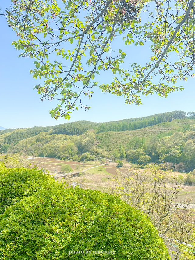 【長野/佐久】浅間山、蓼科山が見える高台にある温泉♨️源泉かけ流し