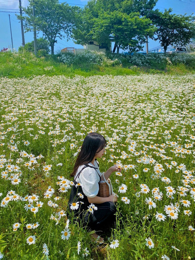 5월에 볼 수 있는 서울 근교 꽃 여행지 🌼❤️