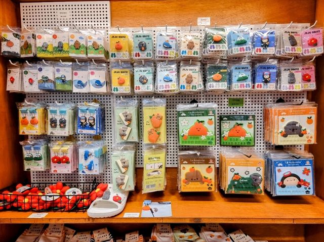 🇰🇷 Gift Shop @ Camellia Hill Botanical Garden