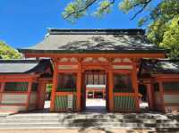 ⛩️일본 3대 스미요시 신사 중 하나인 후쿠오카 스미요시 신사⛩️