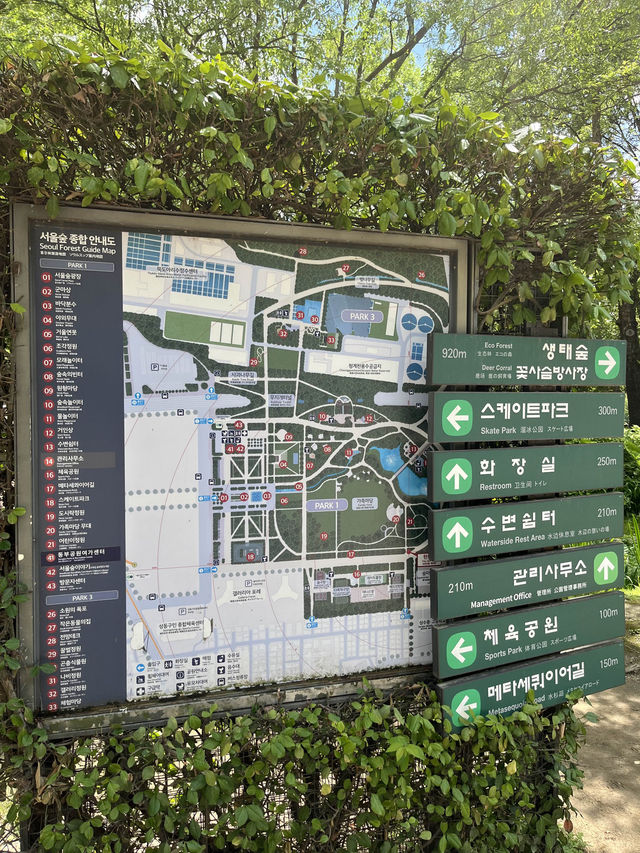 봄데이트는 서울숲에서~