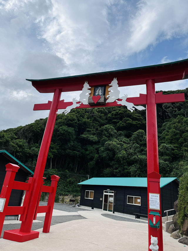 【山口観光】100m続く赤い鳥居のトンネルがある神社⛩