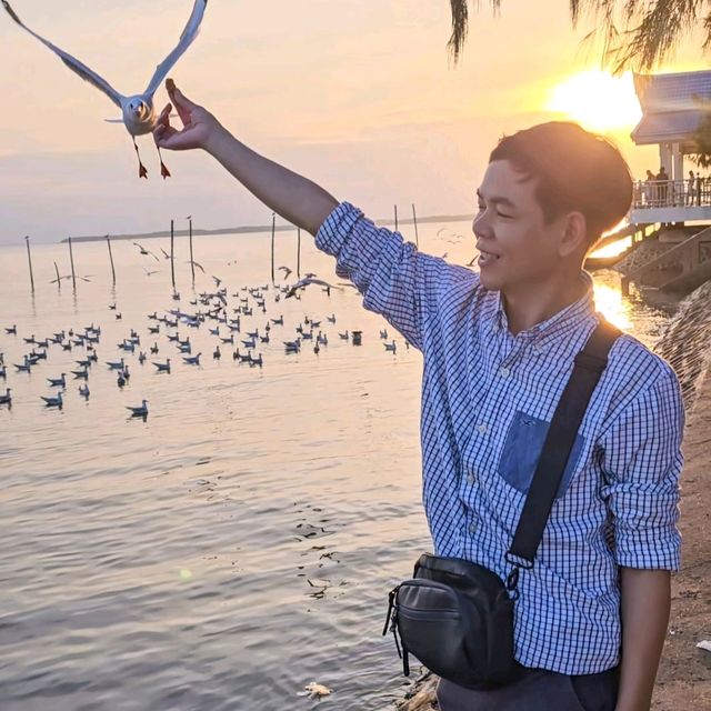 นกนางนวลแล้ว