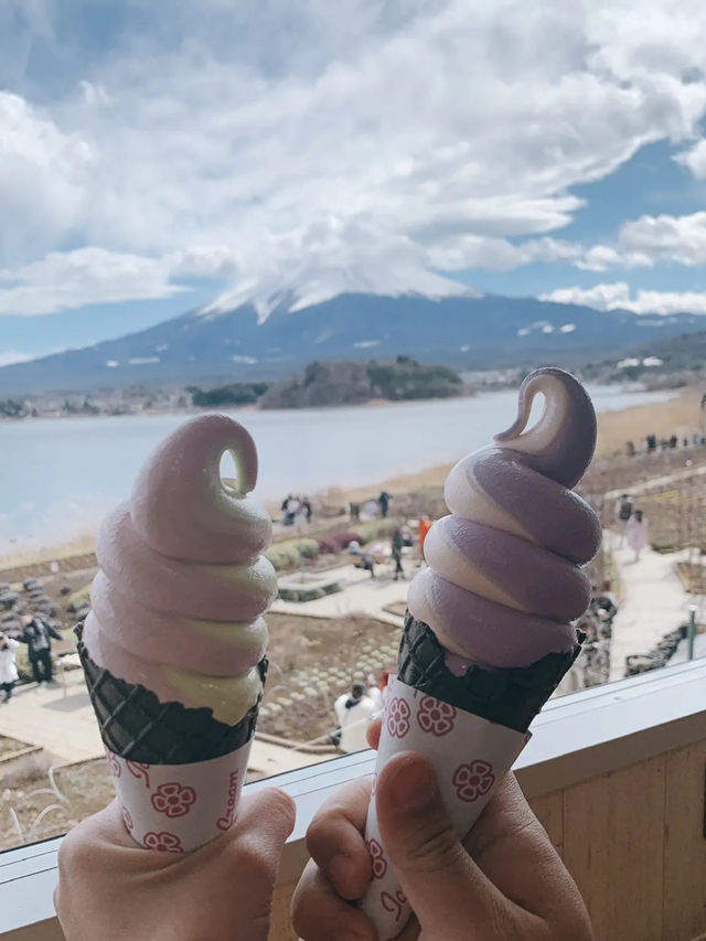 A trip to see Mount Fuji 🗻