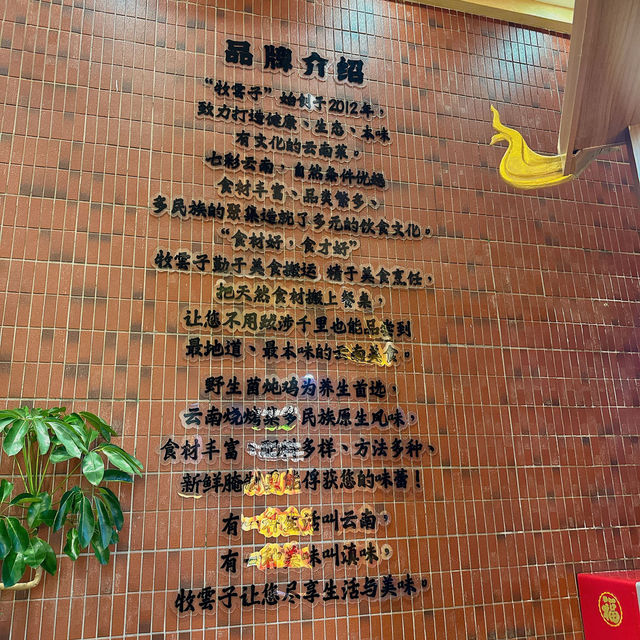 港人推介深圳正宗雲南野生菌火鍋
