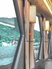 【日光】東武鉄道SPACIA Xに乗って楽しむ栃木旅