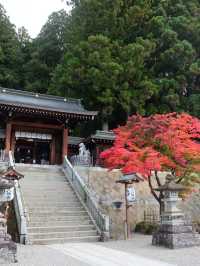 พิกัดเที่ยว Takayama 2 วัน 1 คืน และเมนูห้ามพลาด!!