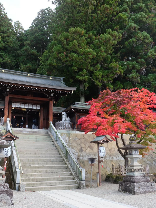 พิกัดเที่ยว Takayama 2 วัน 1 คืน และเมนูห้ามพลาด!!