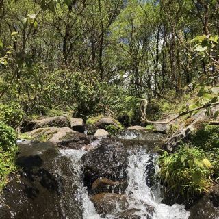 Fairy Tale Lembah lohe 