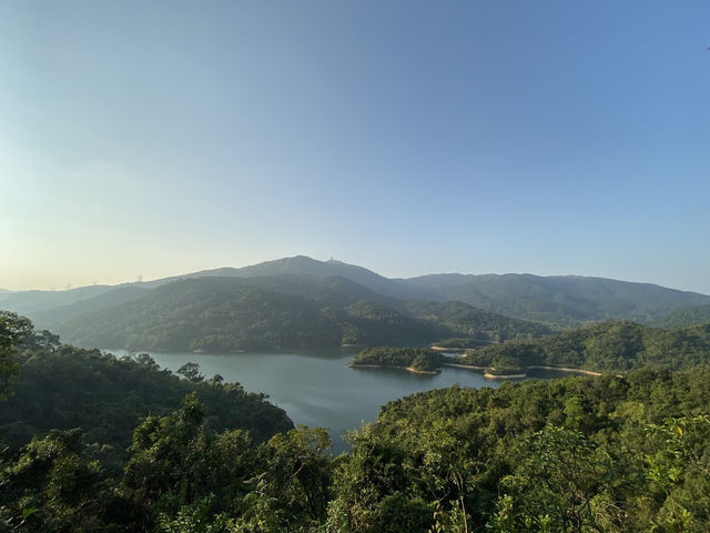【春天打卡好去處】金山郊野公園：🙈馬騮山🐒上四大水塘，郊遊行山必去‼️