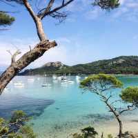 「月亮海灘🏖️夏日避暑流連忘返！」